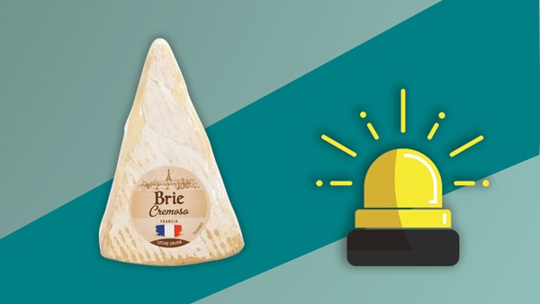 queso brie